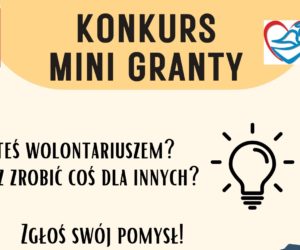 Ogłaszamy Konkurs na Mini Granty dla Wolontariuszy!