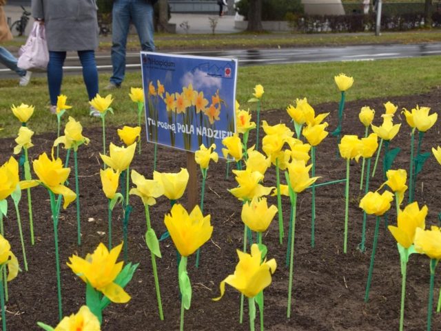 Zapraszamy na&nbsp;inaugurację kampanii “Pola Nadziei 2025/26”