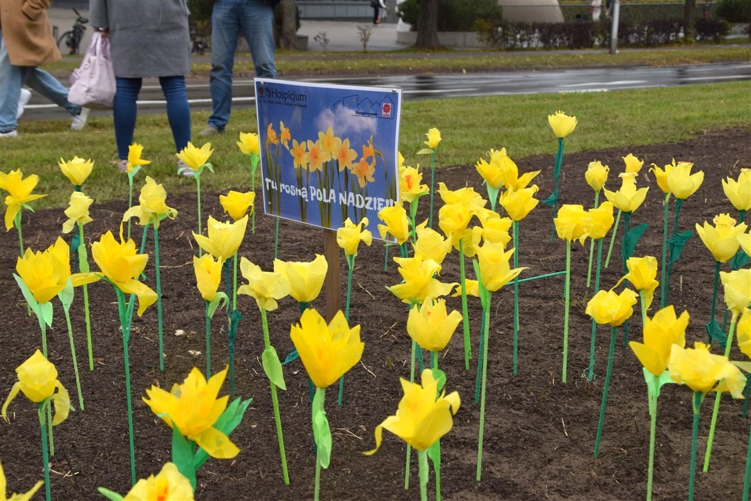 You are currently viewing Zapraszamy na&nbsp;inaugurację kampanii “Pola Nadziei 2025/26”