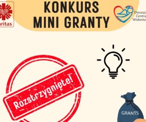 Mini Granty na&nbsp;projekty wolontaryjne przyznane