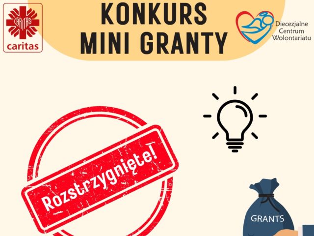 Mini Granty na&nbsp;projekty wolontaryjne przyznane