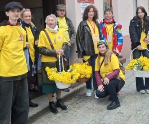Pola Nadziei, żonkile i&nbsp;świąteczne życzenia na&nbsp;kieleckich ulicach